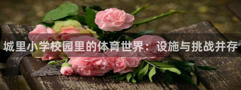 意昂5(KGAME)体育平台是正规平台吗知乎：城里小