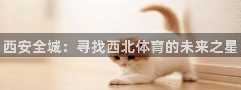 意昂5(KGAME)官网：西安全城：寻找西北体育的未