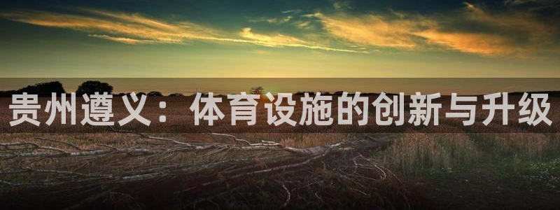 意昂5(KGAME)体育：贵州遵义：体育设施的创新与升级