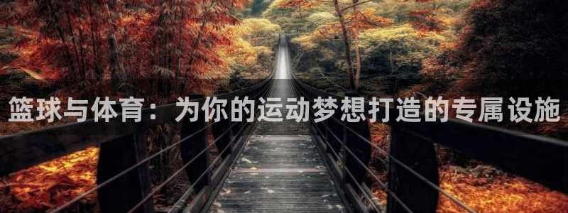 意昂5(KGAME)体育平台注册流程视频：篮球与体育：为你的