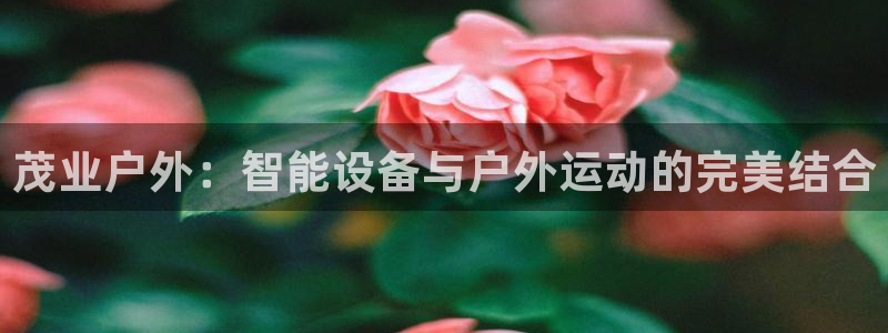 德国意昂5(KGAME)集团：茂业户外：智能设备与户