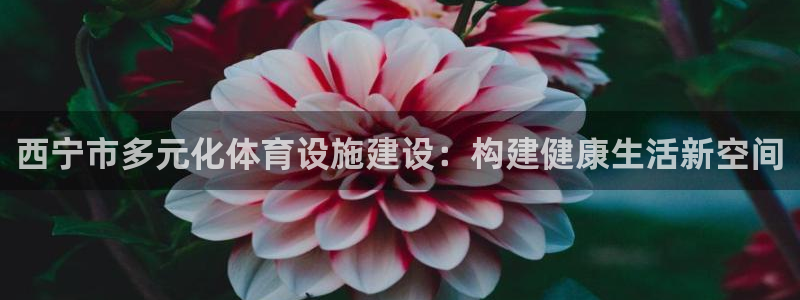 意昂5(KGAME)官方：西宁市多元化体育设施建设：构建健康