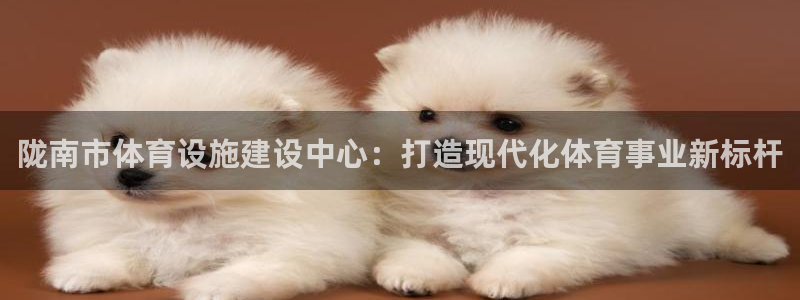 意昂5(KGAME)体育是干嘛的公司：陇南市体育设施建设中心