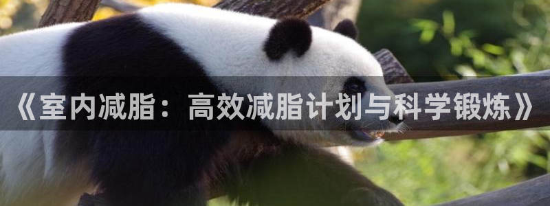 bsports必一运动：《室内减脂：高效减脂计划与科学锻炼》