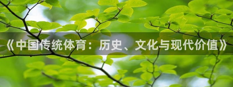 必一运动：《中国传统体育：历史、文化与现代价值》