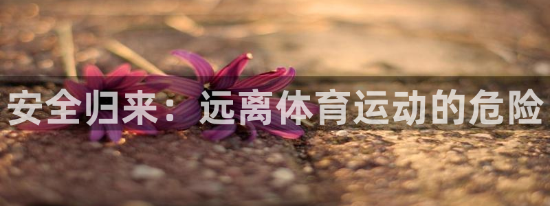 bsports官网 必一运动：安全归来：远离体育运动的危险