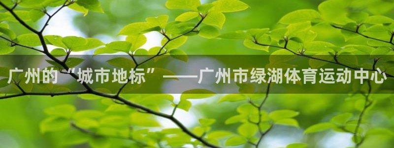 bsports必一运动：广州的“城市地标”——广州市绿湖体育运动中心