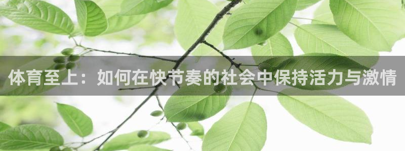必一运动：体育至上：如何在快节奏的社会中保持活力与激情