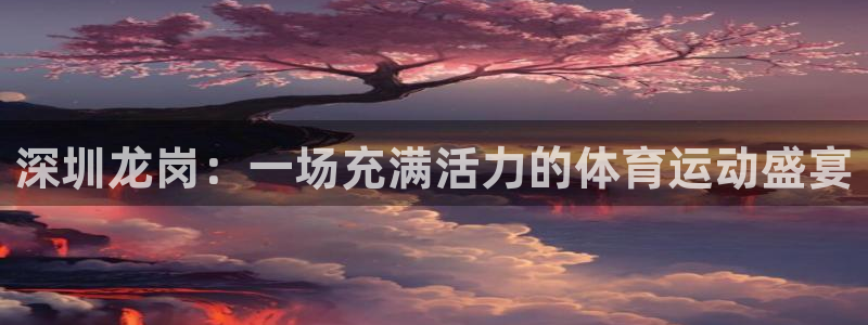 必一运动：深圳龙岗：一场充满活力的体育运动盛宴