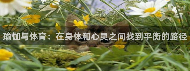 必一运动：瑜伽与体育：在身体和心灵之间找到平衡的路径