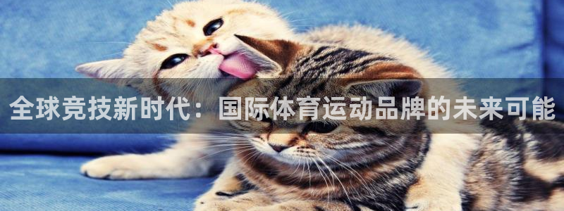 bsport必一运动：全球竞技新时代：国际体育运动品牌的未来可能