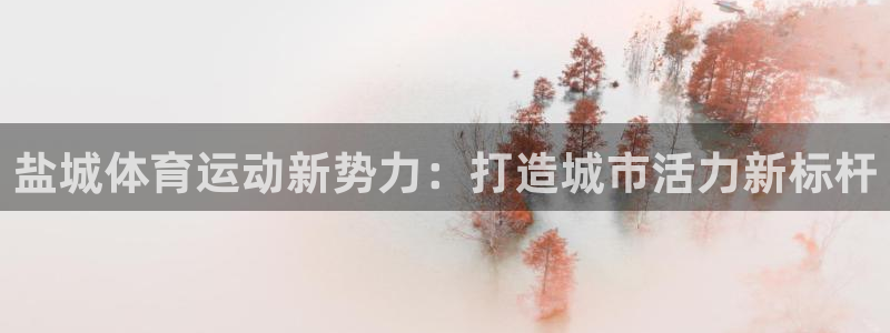 必一运动官网入口：盐城体育运动新势力：打造城市活力新标杆