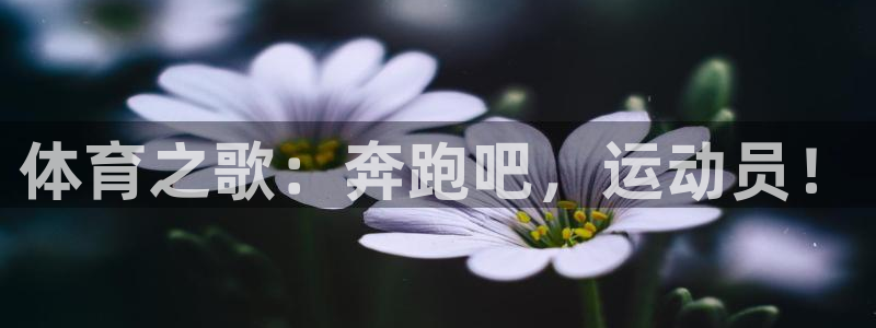 必一运动体育官网：体育之歌：奔跑吧，运动员！