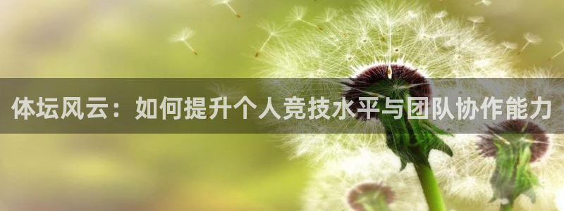 b体育必一运动官网：体坛风云：如何提升个人竞技水平与团队协作能力
