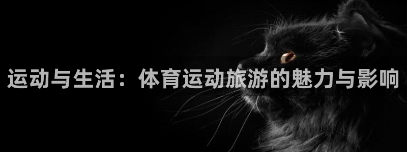 bsports官网 必一运动：运动与生活：体育运动旅游的魅力与影响